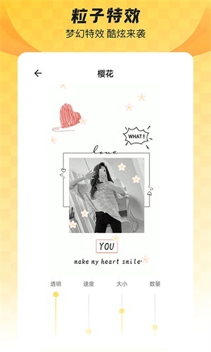 全局透明壁纸破解版:免费动态壁纸软件,精美壁纸!