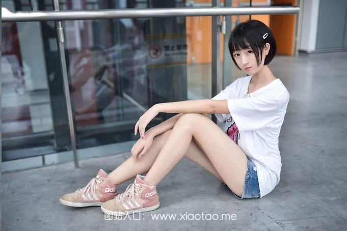 风之领域图集在线分享