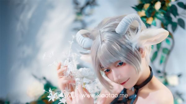 是三不是世w第9期羊羊