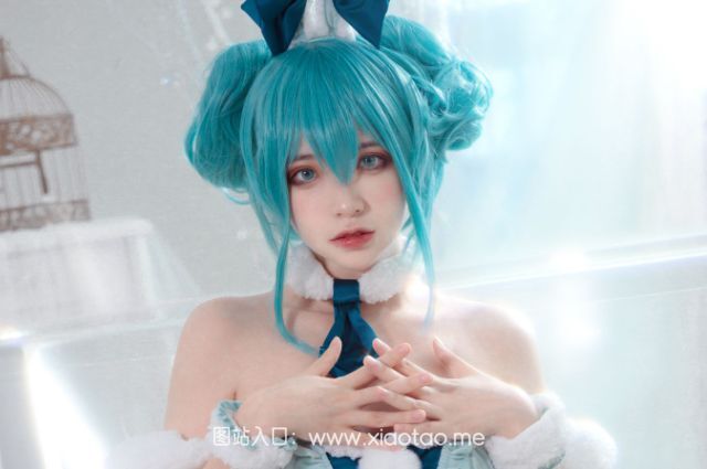 疯猫ss个人资料!疯猫ss的全部作品