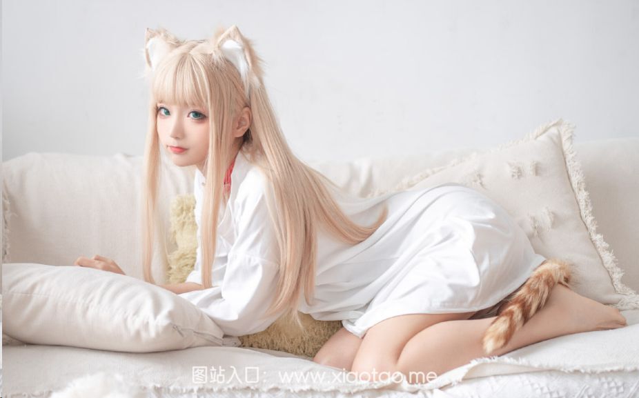 蠢沫沫黄豆粉cos区插件是什么意思