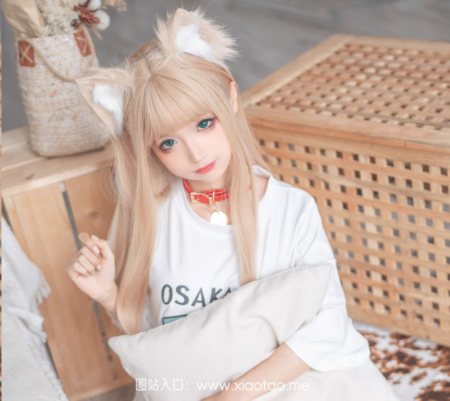 蠢沫沫黄豆粉cos区插件是什么意思