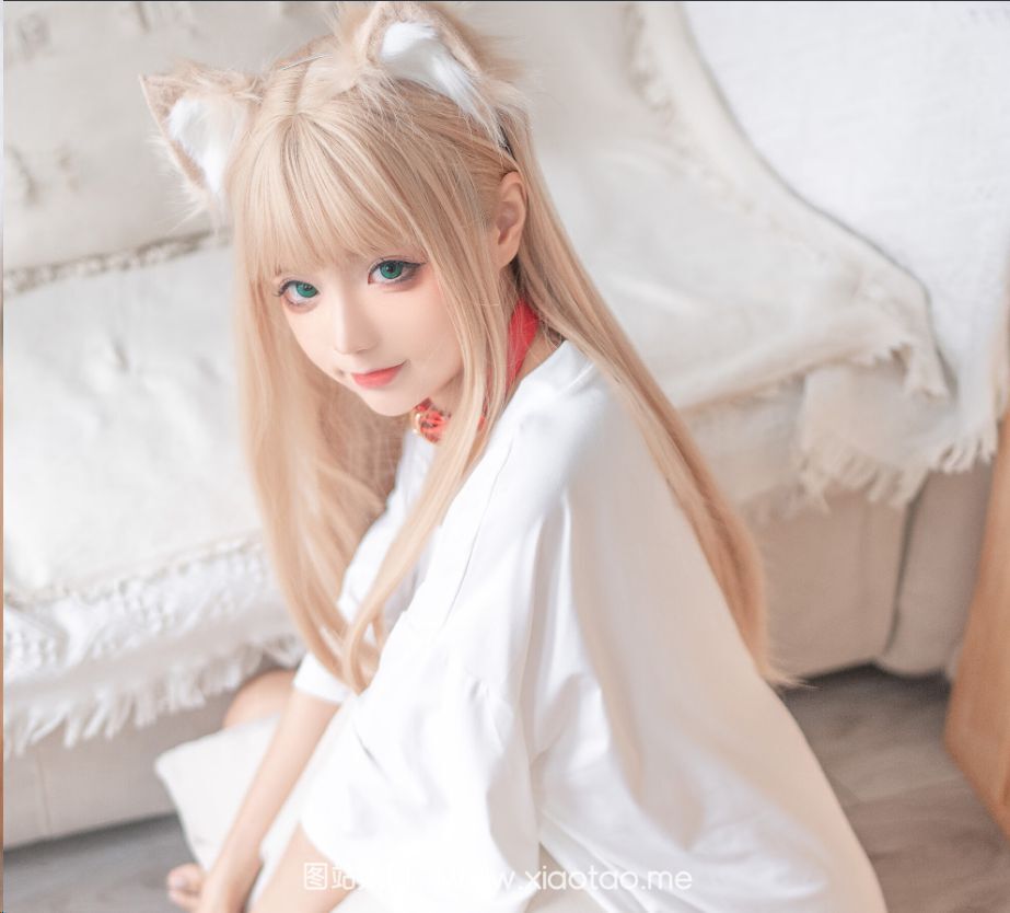 蠢沫沫黄豆粉cos区插件是什么意思