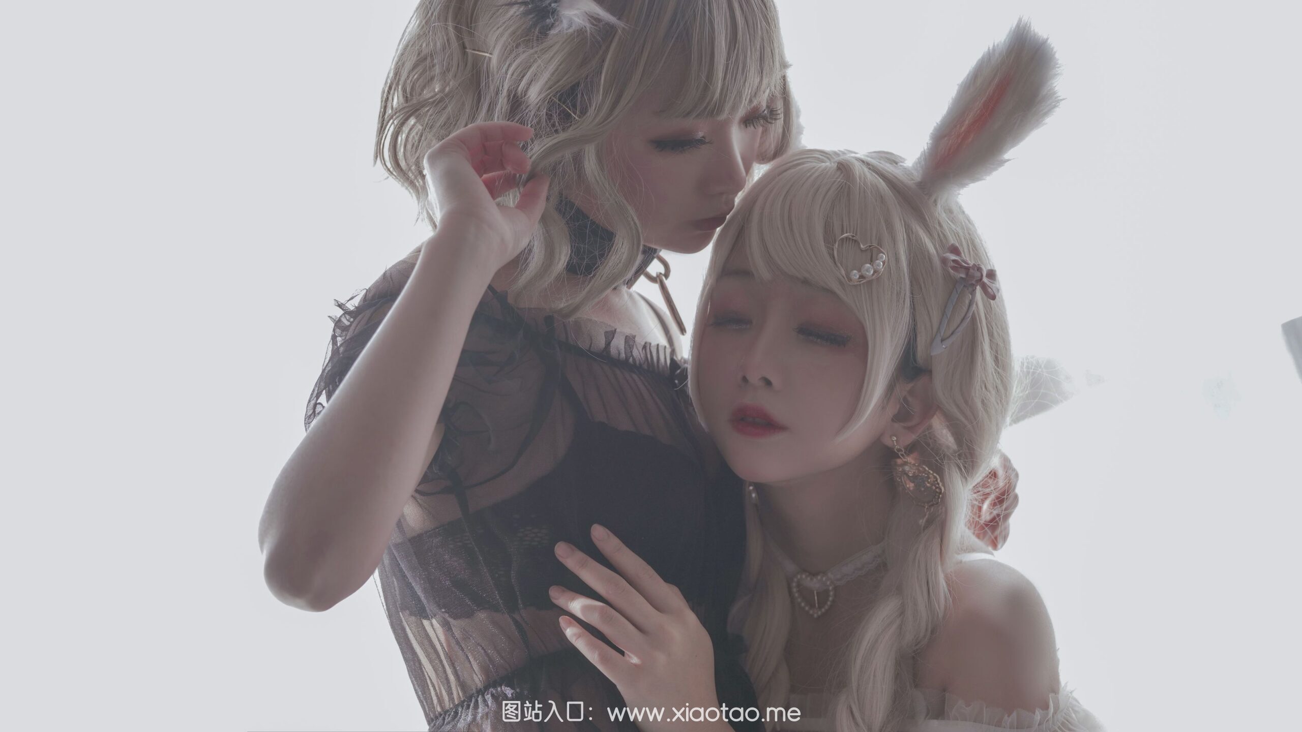 日奈娇猫和兔（兔与猫）精品作品赏析