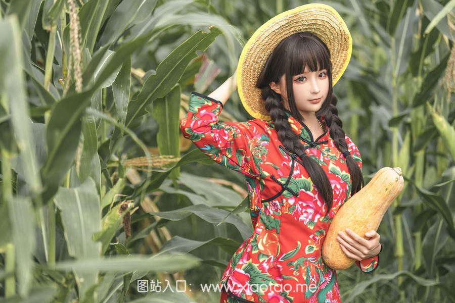 蠢沫沫cos作品苞米地的故事在线看图