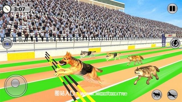 竞争对手赛狗2023免费版:经典的休闲益智游戏,不会卡顿!