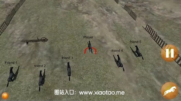 赛马职业选手最新破解版:当下最火的休闲益智游戏,不收费!
