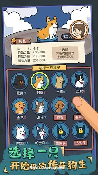 狗生模拟器无限体力免广告版:休闲的模拟益智游戏,玩法自由!