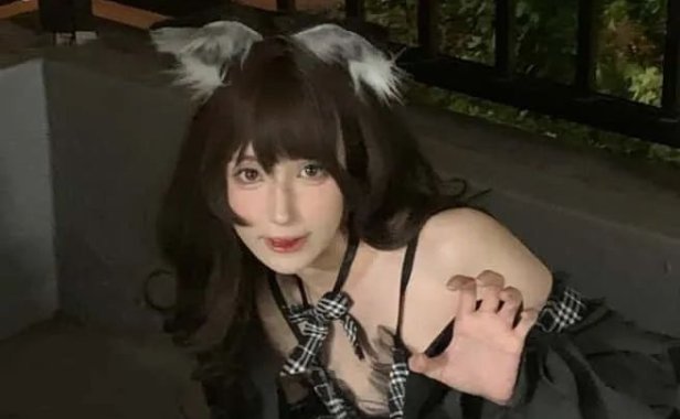 西园寺南歌《主人的任务2.0》作品鉴赏