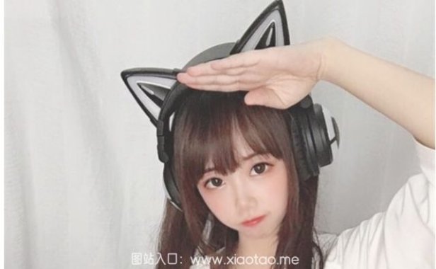 雪琪SAMA是谁?微博女神的美腿与猫咪魅力