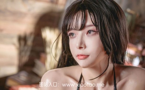 秋和柯基抹油图哪套更好看