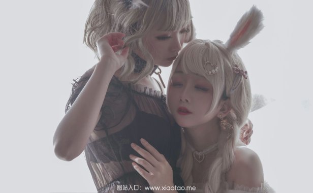 日奈娇猫和兔(兔与猫)精品作品赏析